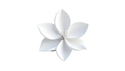 Isolated, pristine white blossom, rendered against a stark black background