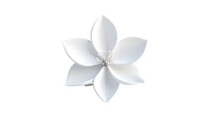 Isolated, pristine white blossom, rendered against a stark black background
