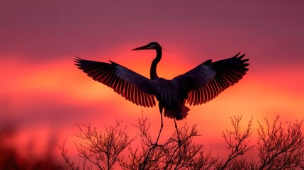 A heron with wings spread, silhouetted against a vibrant red and orange sunset sky, with trees in the foreground and a clear, open sky in the background.