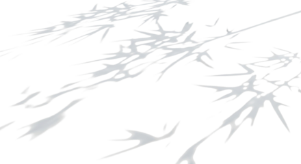 Abstract natural light and shadow overlay of bamboo leaves isolated on transparent background