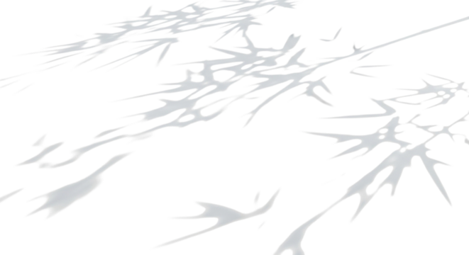 Abstract natural light and shadow overlay of bamboo leaves isolated on transparent background