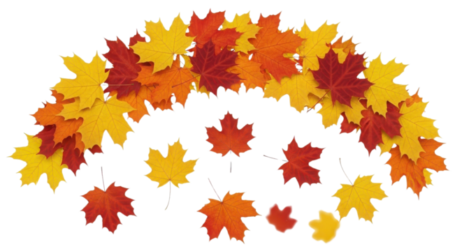 Whole ripe fresh pineapple fruit standing upright isolated on a clean white background