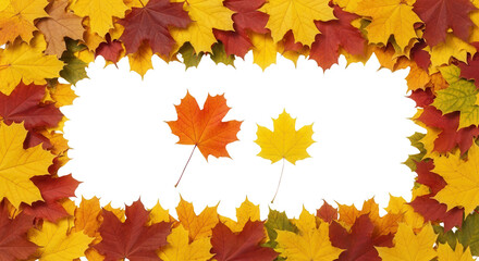 Whole ripe fresh pineapple fruit standing upright isolated on a clean white background