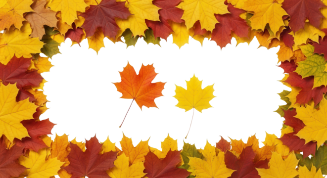 Whole ripe fresh pineapple fruit standing upright isolated on a clean white background