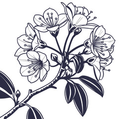 Creative details Mountain Laurel Blossom Icon vector illustration