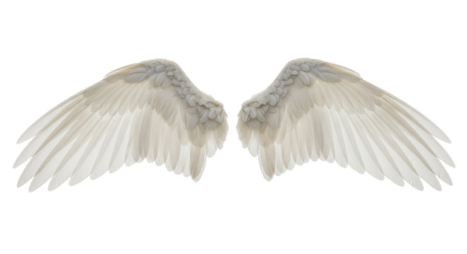 Realistic Pair of Large White Feather Angel Wings Isolated on Clean White Background