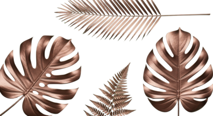 Isolated Metallic Rose Gold Tropical Leaves Set for Luxury Design Element