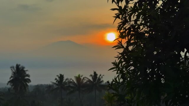 Golden sunrise peeking through tropical foliage with a misty mountain backdrop. Excellent footage for themes of nature, farming, and environmental clips.