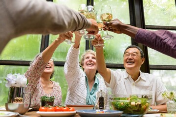 Group of diverse seniors toasting with wine at a dining table, enjoying a meal together, celebrating friendship and happiness in a bright, cheerful setting. Cheers with wine glasses at dining table.