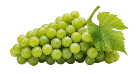 Fresh Green Grapes Bunch with Leaf Isolated on White Background Product Shot