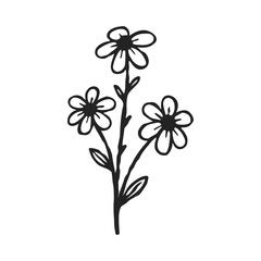 Delicate floral line art design evoking natural beauty and minimalist elegance, perfect for branding, invitations, or spring themed designs, originally vector