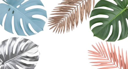 Stylish Pastel and Metallic Tropical Palm and Monstera Leaves Isolated on White Background