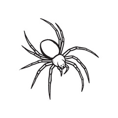 Black and white spider on web line art