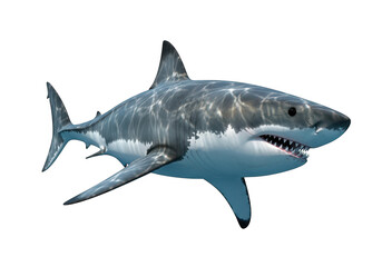 Great white shark swimming underwater, isolated on a black background, side view isolated on transparent background