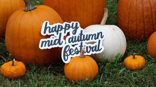 Person sets the wording Happy Mid Autumn Festival on a Pile of Pumpkins at a Pumpkin Patch 4K Video Stock Footage