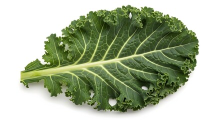 Fresh Curly Kale Leaf: Close-up Depiction of Healthy Green Vegetable on a White Background for Organic Food Concepts.