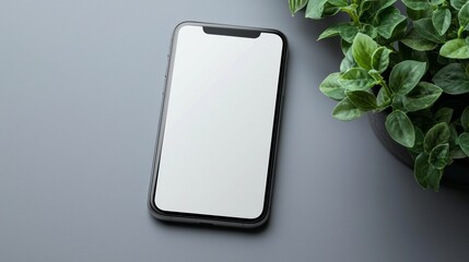 Modern smartphone placed on a gray surface beside a green plant, showcasing its sleek design and empty screen