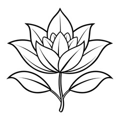 black and white flower