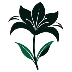 lily of the nile flower silhouette on white background