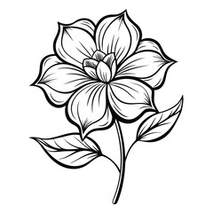 melastoma flower line art on white background