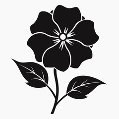 black and white flower