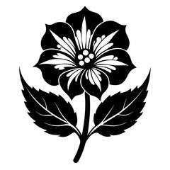 melastoma flower silhouette on white background