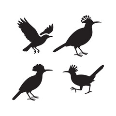 Obraz premium Black Silhouette Set of Exotic Birds Including Hoopoes in Flight and Perched Poses.