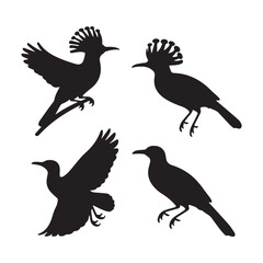 Black Silhouette Set of Exotic Birds Including Hoopoes in Flight and Perched Poses.