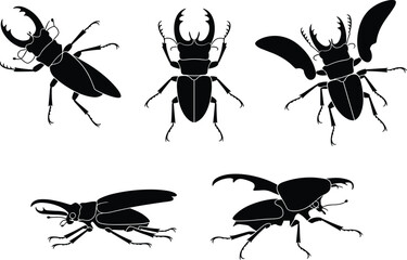 Set of stag beetle silhouettes, black insect vector illustration, isolated bug collection with big horns, wild nature.