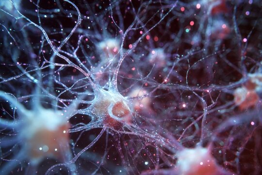 Androgen Waltz: Neurotransmitter: Androgens :  Androgens, including testosterone, are essential for the development of male reproductive organs and secondary sexual characteristics.