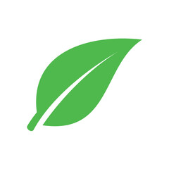Fototapeta premium Green Leaf Environment Ecology Vector Template
