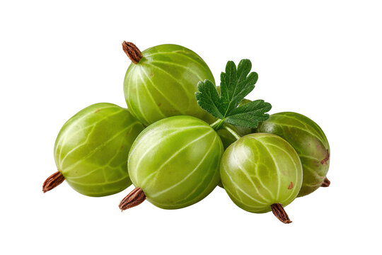 Pile of fresh green gooseberries with leaf on black background gooseberry fruit, Isolated On White Background, Png Transparent - Powered by Adobe
