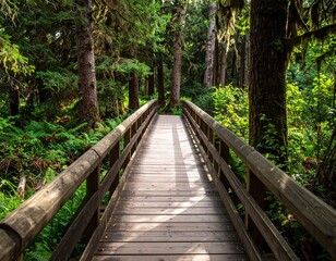 Wooden Footbridge in Lush Green Forest