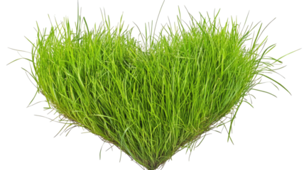 Lush green grass arranged in precise heart shape with vibrant natural texture and fresh organic detail clearly displayed isolated on white background