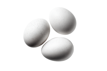 Three speckled white eggs arranged in a triangular formation on a black background oval, Isolated On White Background, Png Transparent