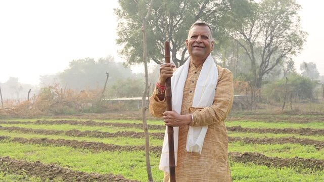Happy senior rural indian farmer standing at agriculture field. Smiling old man holding stick looking at camera. People of india.