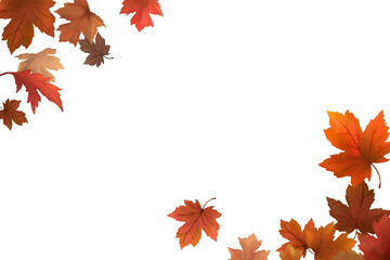 Maple leaf png border, transparent background