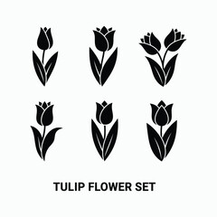 Set of six tulip flower vector