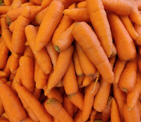 carrots in market