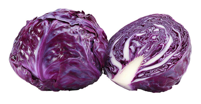 Vibrant red cabbage, whole and halved, on a black background