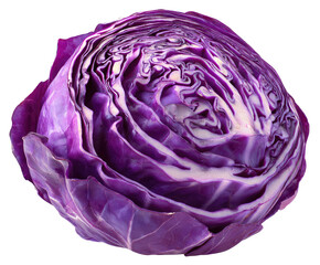 Vibrant cross-section of deep purple cabbage revealing layered leaves and white core