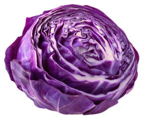 Vibrant cross-section of deep purple cabbage revealing layered leaves and white core