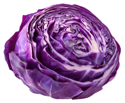 Vibrant cross-section of deep purple cabbage revealing layered leaves and white core