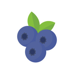 Blueberry Illustration