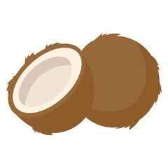 coconut Illustration