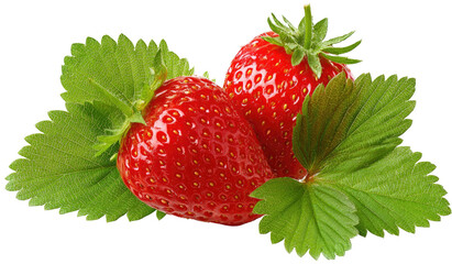 Two vibrant red strawberries with fresh green leaves (1)