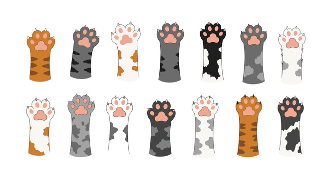 A vibrant collection of diverse cartoon cat paws, each displaying unique fur patterns and colors, isolated on a clean white background.