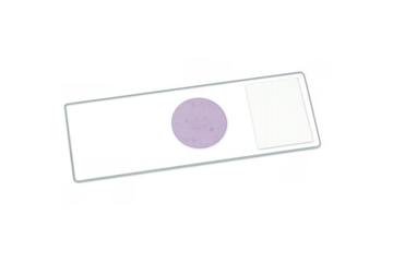 Microscope slide with biological specimen for scientific research