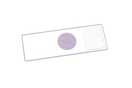 Microscope slide with biological specimen for scientific research
