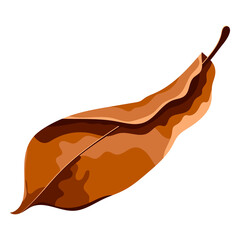 Png autumn leaf sticker, transparent background